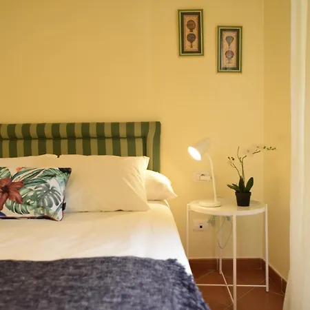 Greenday * Santa Úrsula