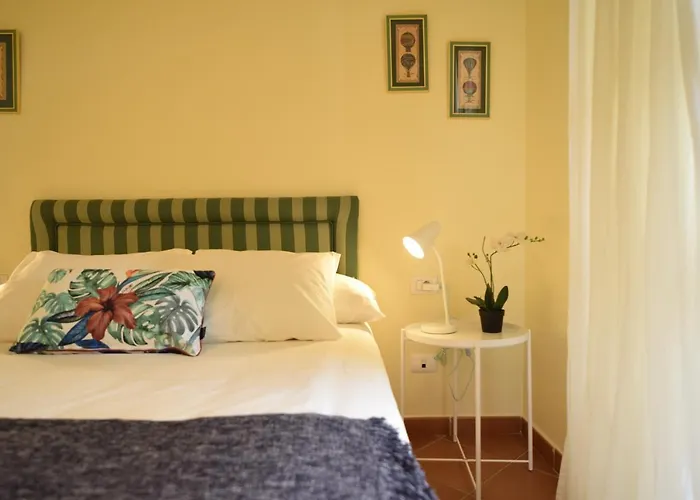 Greenday * Санта-Урсула